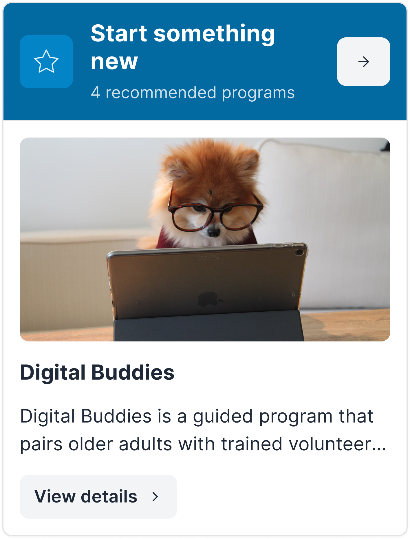 Digital Buddies program preview